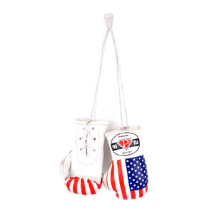 PRO USA 5” Other Colors Boxing Gloves PRO USA 5” Other Colors Boxing Gloves