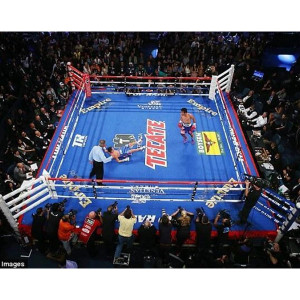 PRO Boxing Fight Night Limited Edition Boxing Ring PRO Boxing Fight Night Limited Edition Boxing Ring