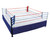 Pro Boxing Ring Rentals