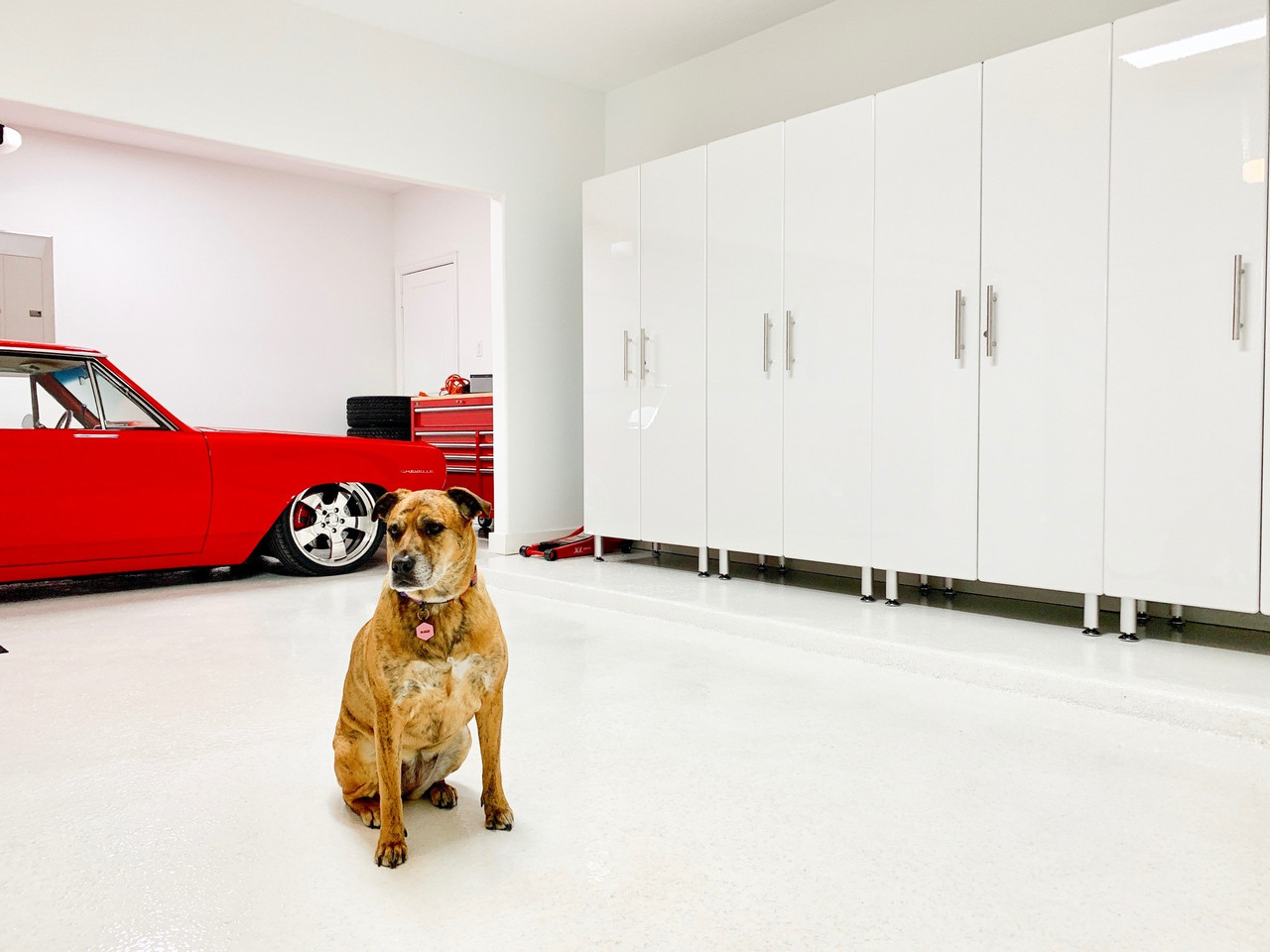 Red car parked inside garage organized with Ulti-MATE Cabinets