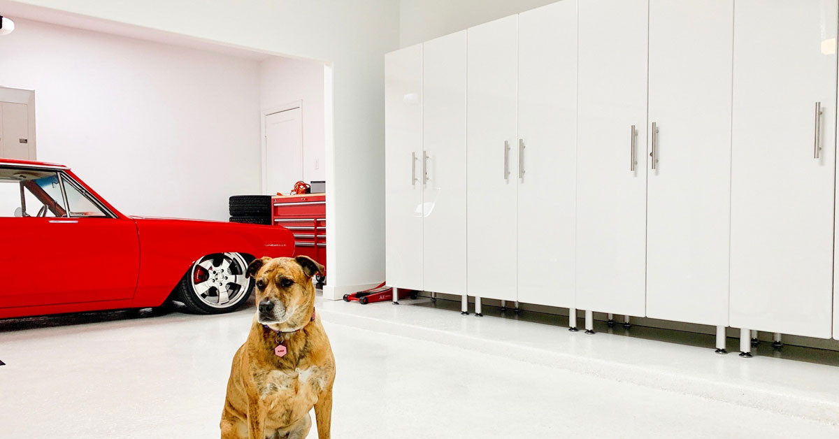 Ulti-MATE Garage Cabinets with Dog