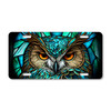 Fierce owl face license plate featuring teal stained-glass style feathers and piercing amber eyes on aluminum.