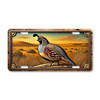 Wildlife license plate featuring a quail standing in a desert grassland scene at sunset, printed on aluminum with warm Southwestern tones.