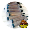 Mazatapec 10cc Psilocybe Cubensis Spore Syringe