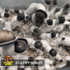 Starry Night Liquid Culture Syringe