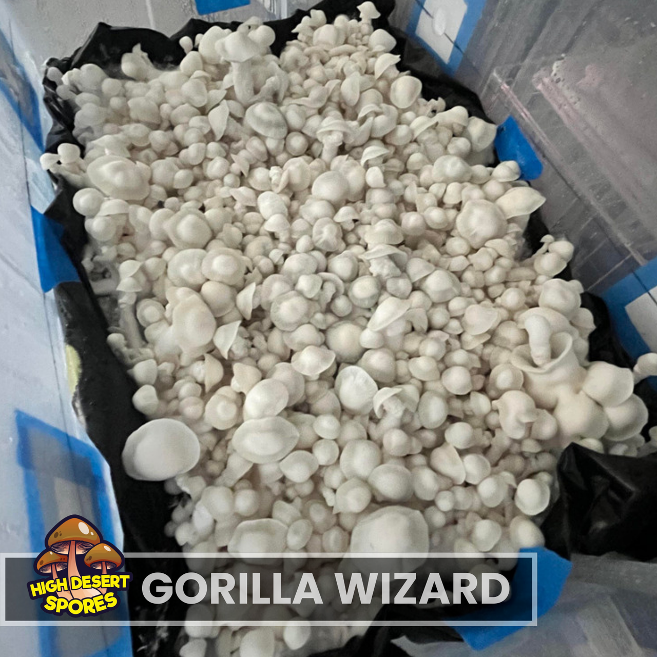 Gorilla Wizard  Liquid Culture Syringe