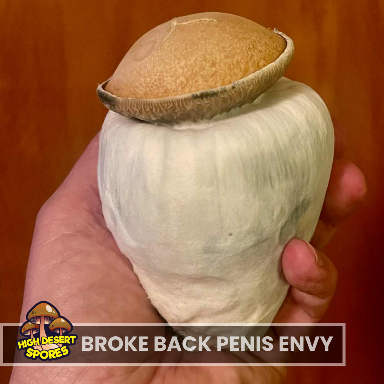 Broke Back Penis Envy Liquid Culture Syringe