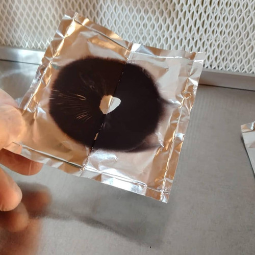 Golden Teacher Spore Prints