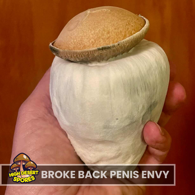 Broke Back Penis Envy Liquid Culture Syringe