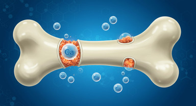 Calcium’s Role in Structural Health