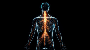 How B Vitamins, Omega-3s, and Magnesium Support Nerve Signaling How B Vitamins, Omega-3s, and Magnesium Support Nerve Signaling