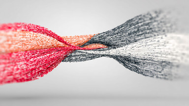 Sodium and Calcium in Muscle Contraction