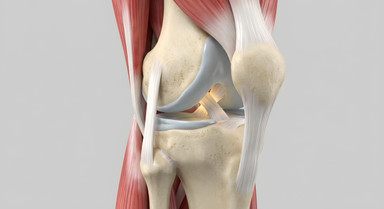 Bone, Muscle, and Joint Health: Why None of Them Work Alone