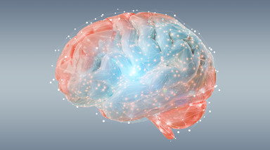 The Overlooked B Vitamins That Support Brain Health