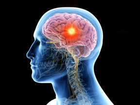 Choline and Brain Health: Supporting Communication Between the Brain and Body