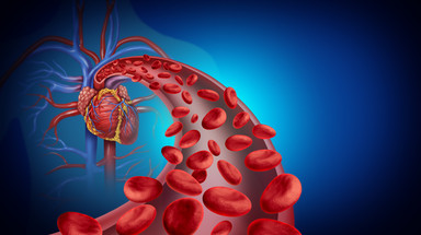 Nitric Oxide and Circulation: Supporting Blood Flow to Muscles and Spinal Structures