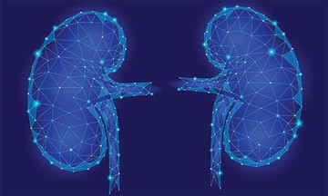 Supporting Kidney Health Through Nutrition