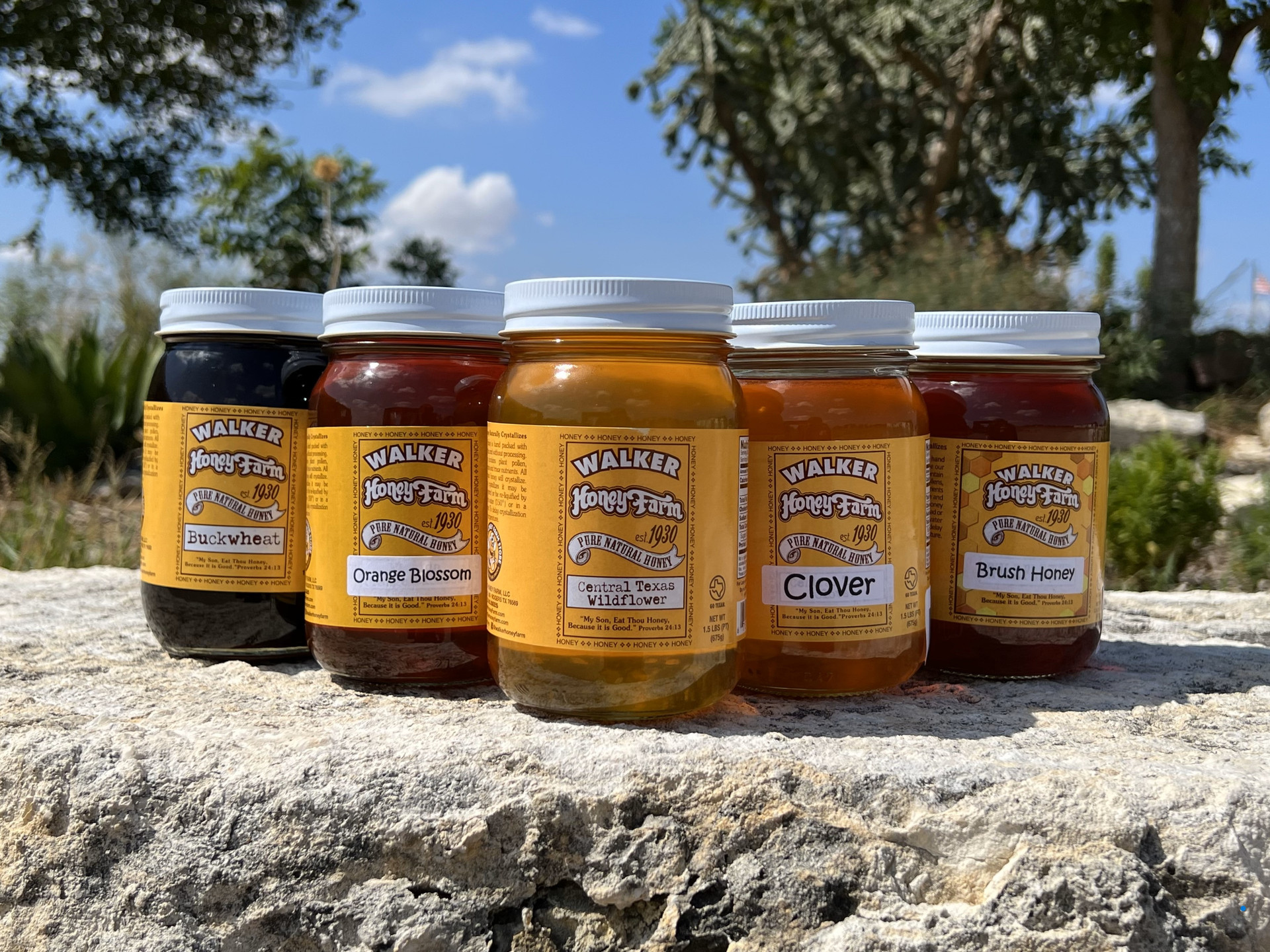 Walker Honey Farm