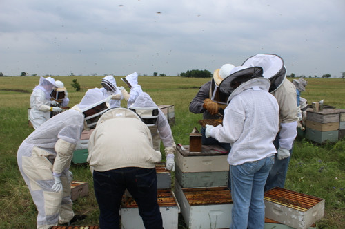 Beekeeping for Beginners Class (April 2026)