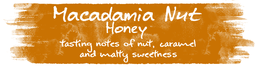 macadamia-nut-honey-webssite-image-2022.png