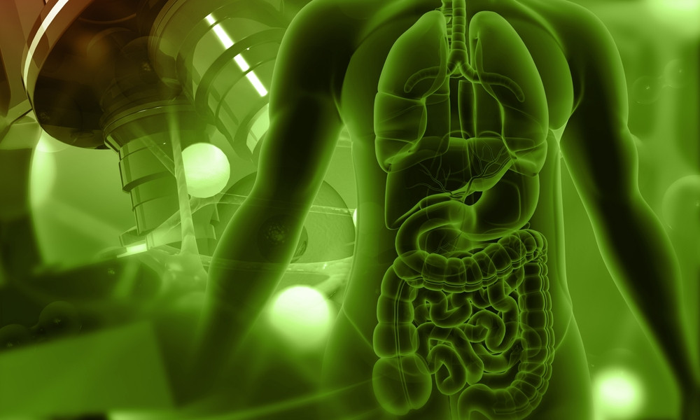 The Role of 3D Scanning in Medical Industry Innovations The Role of 3D Scanning in Medical Industry Innovations