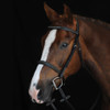 Collegiate Comfort Crown Raised, Fancy Stitched Bridle, Pony & Cob, Brown