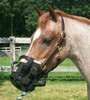 Best Friend clip on grazing muzzle for ponies.