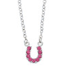 Pink Horseshoe Necklace/Earrings Set in Horse Head Gift Box