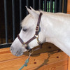 Beiler's 3/4" Leather Halter, Three Sizes, Dark Brown