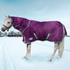 Weatherbeeta Comfitec Premier Freedom Pony Detach-a-Neck Medium Turnout Blanket, 48" - 69"