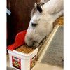 Mrs. Pastures Horse Cookies, 8 oz Bag.