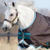 Amigo  Bravo 12 Pony Turnout Sheet, Excalibur/Aq/Turquoise, 45" - 69"