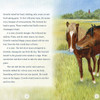 Surfer Dude,  The Legendary Stallion of Chincoteague