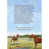 Surfer Dude,  The Legendary Stallion of Chincoteague