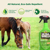 Absorbine UltraShield Green Fly Repellent 32 oz. Spray