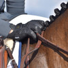 Kunkle Equestrian Premium WINTER Show Gloves, Sizes 5 - 7.5