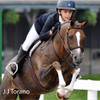 Kunkle Equestrian Premium MESH Back Show Gloves, Sizes 3 - 7.5