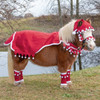 Holiday Wear, MINIATURE HORSE Two-Ear Santa Hat