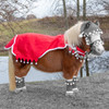 Holiday Wear, MINIATURE HORSE Santa Quarter Sheet