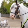 Breyer Hytyme Legend; KHP Mounted Police Horse 