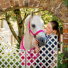 Pony  Horseware Newmarket Halter & Lead Set Witney Pink.