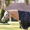 Closeup of high neck on Rhino Pony Wug Turnout Sheet.