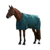 Weatherbeeta Comfitec Classic Turnout, 220g, Forest Green/ Black, 60" - 69".
