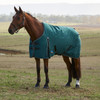 Weatherbeeta Comfitec Classic Turnout, 220g, Forest Green/ Black, 60" - 69".