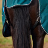 Weatherbeeta Comfitec Classic Heavy Combo Neck, 360g, Forest Green/ Black, 48" - 69"