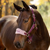 LeMieux Mini Vogue Headcollar & Leadrope,  Blackberry.