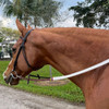 DziaSport Easy Clip-On Rubber Reins.