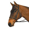 Wintec Pony Bridle with Flash, Less Reins.