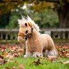 LeMieux Toy Pony, Cloudy