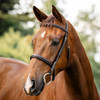 Hoseware Fancy Stitched Hunter Bridle, Less Reins, Havana, Pony